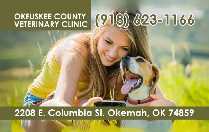 Okfuskee County Veterinary Clinic 