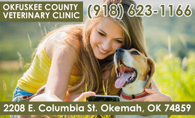https://youcancheckusoutnow.com/listings/business-profile/okfuskee-county-veterinary-clinic-2/