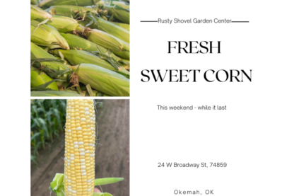 Sweet Corn - Rusty Shovel Garden Center