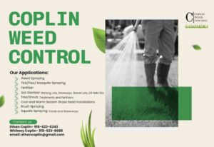 https://youcancheckusoutnow.com/listings/business-profile/transform-your-lawn-professional-weed-control-for-a-healthier-more-valuable-yard/