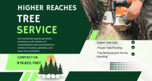 https://youcancheckusoutnow.com/listings/business-profile/tree-service-in-weleetka-ok-higher-reaches/
