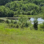 Thumb Image 15