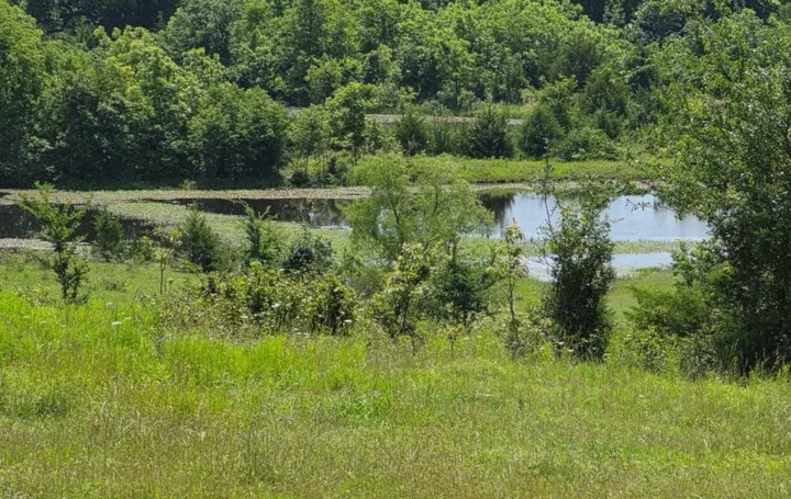 Gallery Image 15