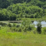 Thumb Image 16