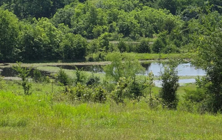 Gallery Image 16