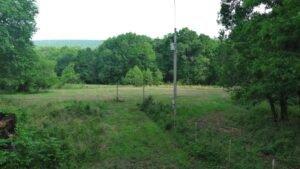 Sardis Lake