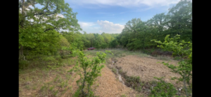 5 acres unrestricted