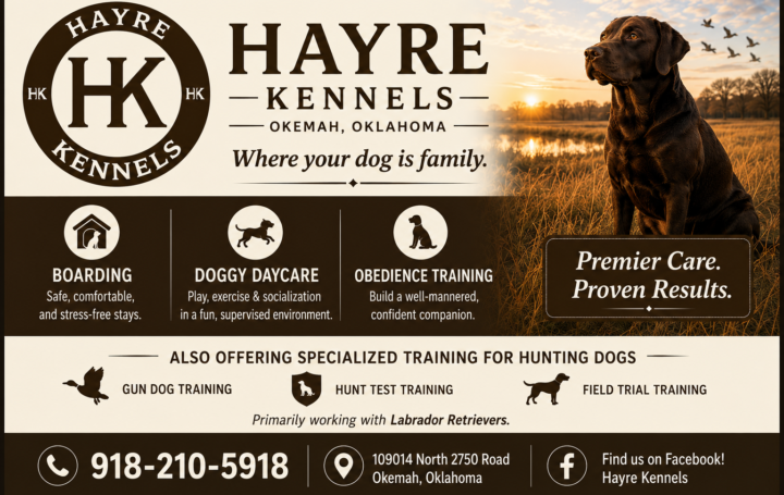Hayre Kennels | Dog Boarding, Doggy Daycare & Hunting Dog Training in Okemah, Oklahoma 