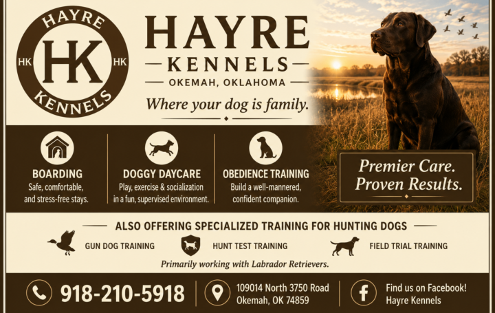 Hayre Kennels | Dog Boarding, Doggy Daycare & Hunting Dog Training in Okemah, Oklahoma 