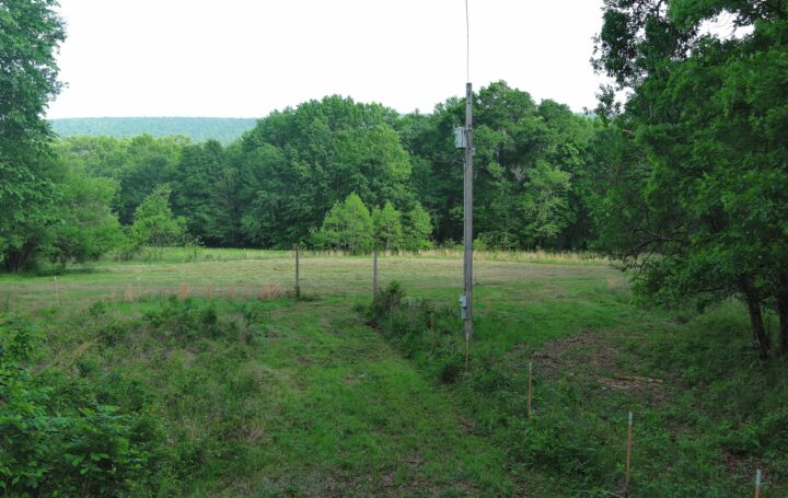 Sardis Lake 